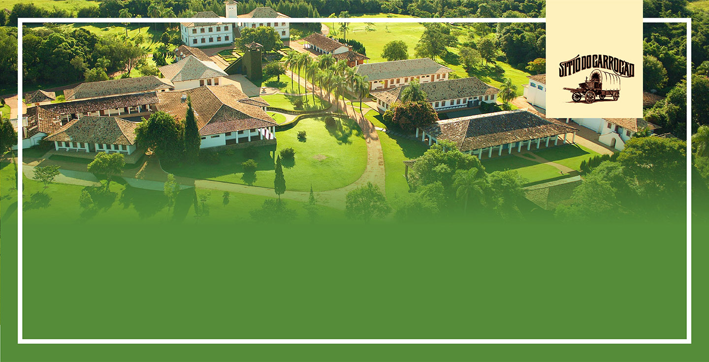 Day Camp - Sítio do Carroção